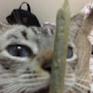 Meet your Posher, Jaycee